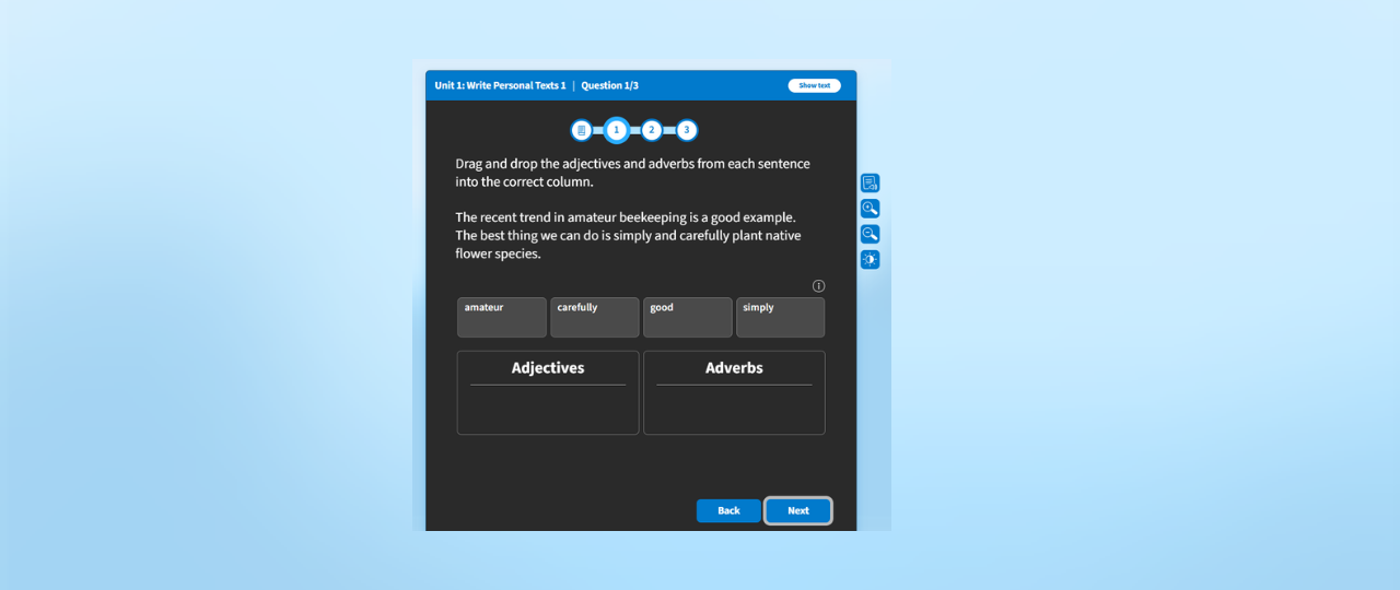 How to Complete a Progress Check (Language)